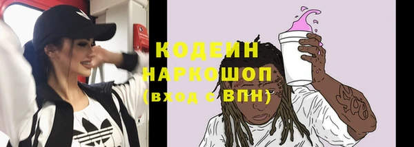 скорость Гусев