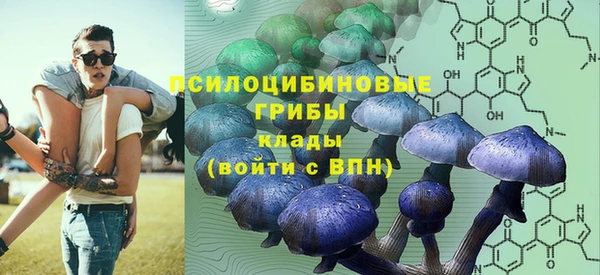 скорость Гусев