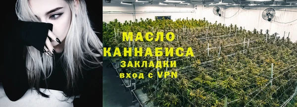 скорость Гусев